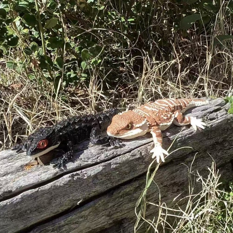 3D プリントクリエイティブワニトカゲ爬虫類モデルデスクトッ - 3D Printing Lizard のレビューと価格