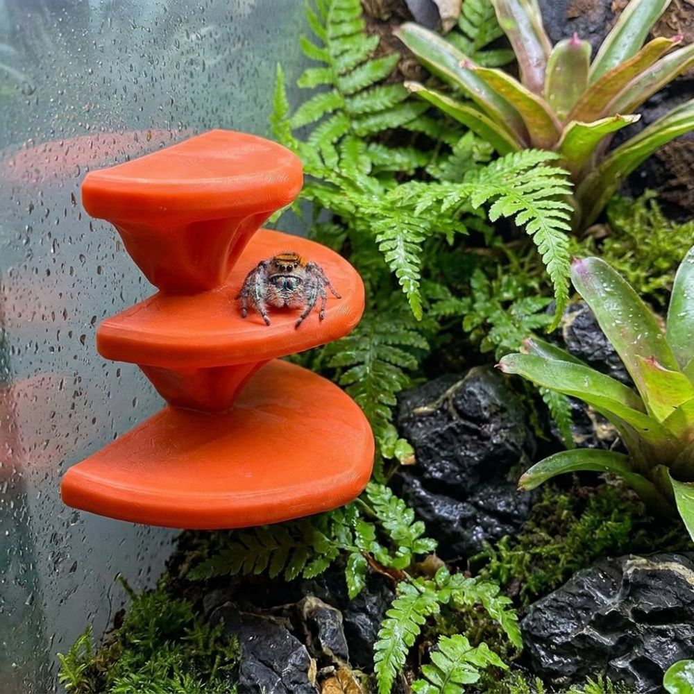3Dプリント製キノコ型ペットクライミングプラットフォーム、穴 - 3D Printing Lizard のレビューと価格
